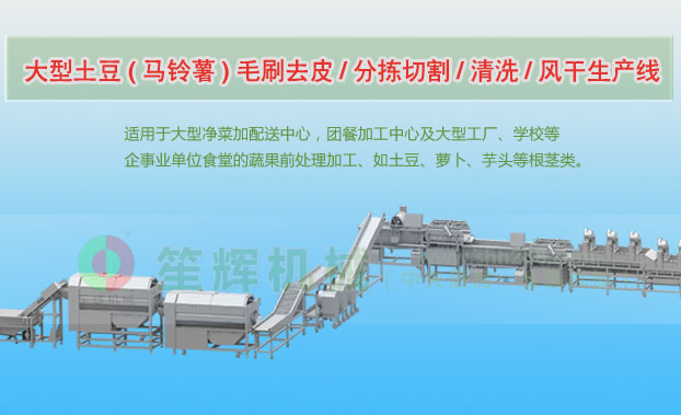 洞口连续式土豆去皮清洗切割风干生产线